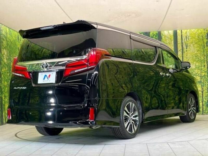 ALPHARD-18