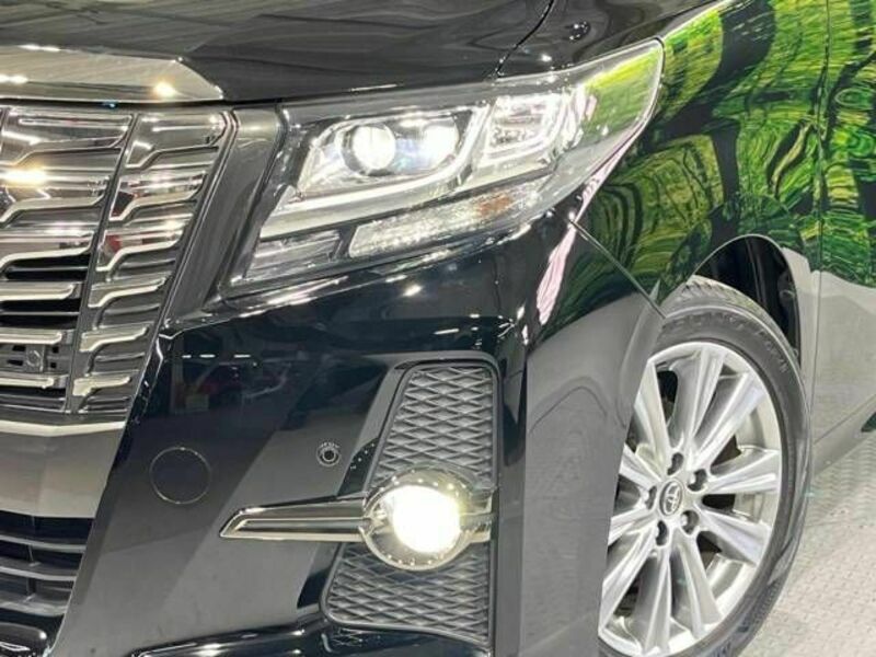 ALPHARD-13