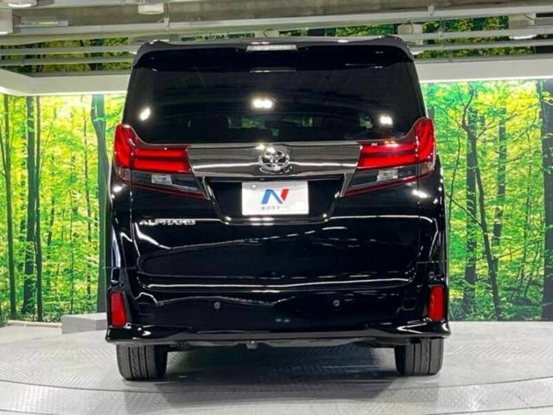 ALPHARD-16