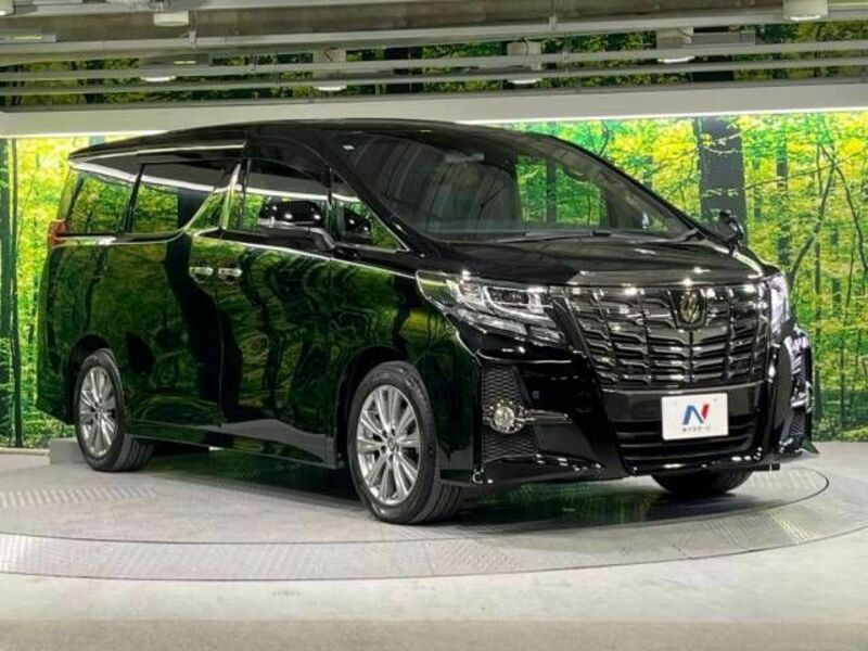 ALPHARD-17