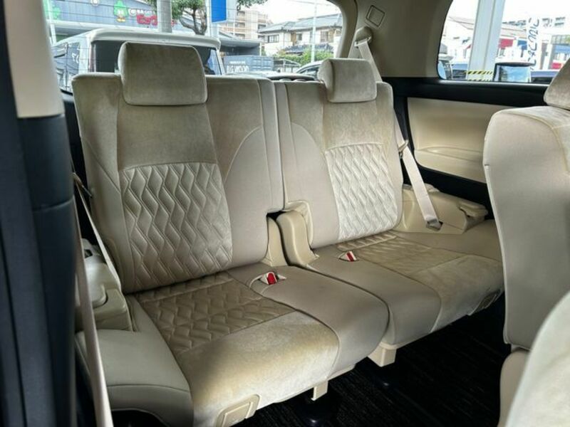 ALPHARD-13