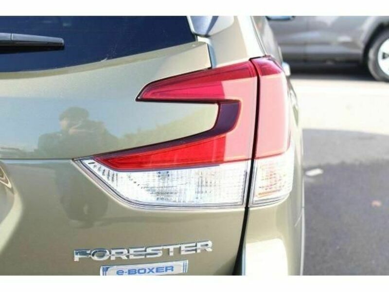 FORESTER-12