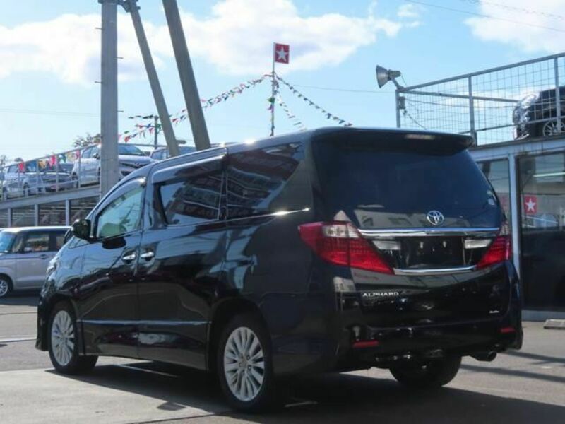 ALPHARD-6