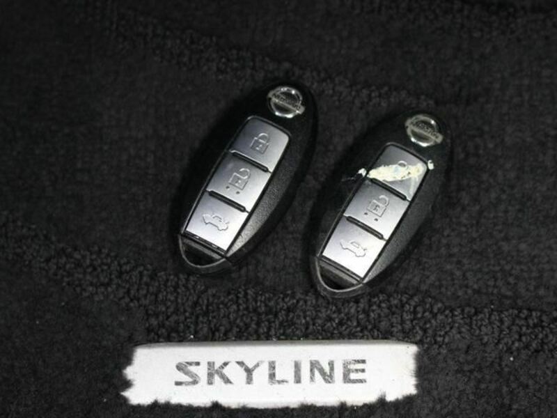 SKYLINE-15