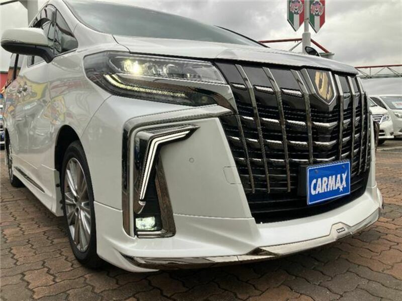 ALPHARD-24