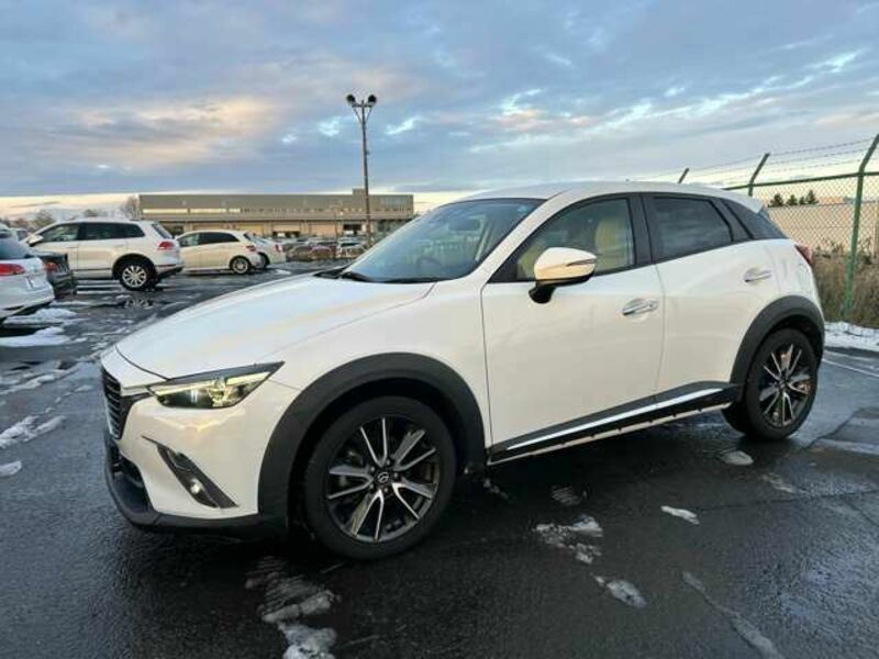 CX-3-6