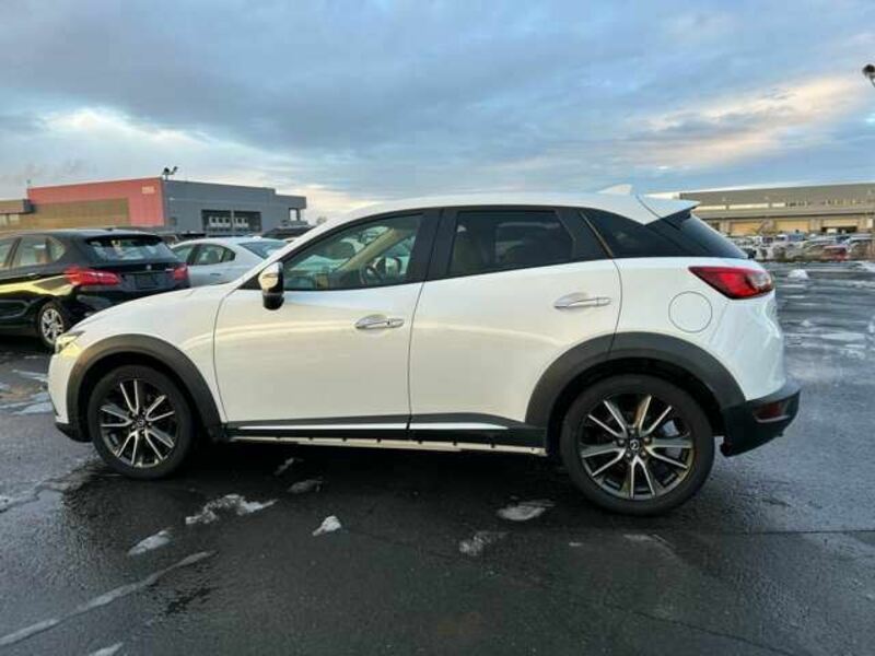 CX-3-9