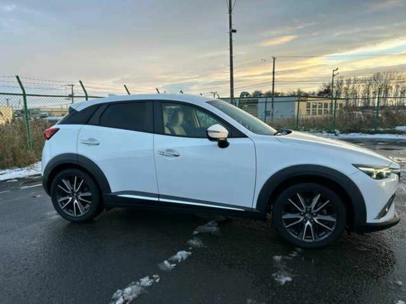 CX-3-19