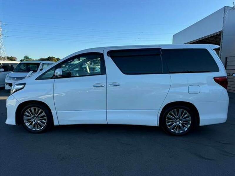 ALPHARD-10