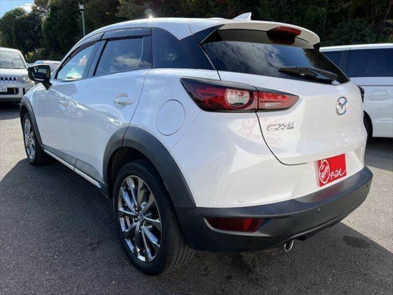 CX-3-19