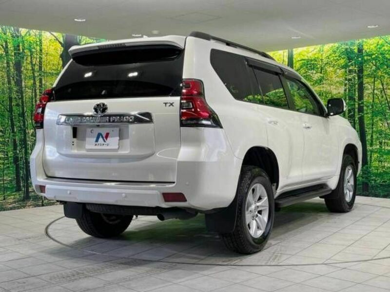 LAND CRUISER PRADO-17