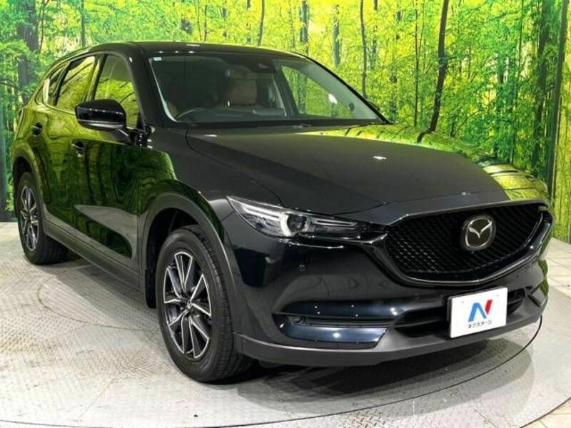 CX-5-16