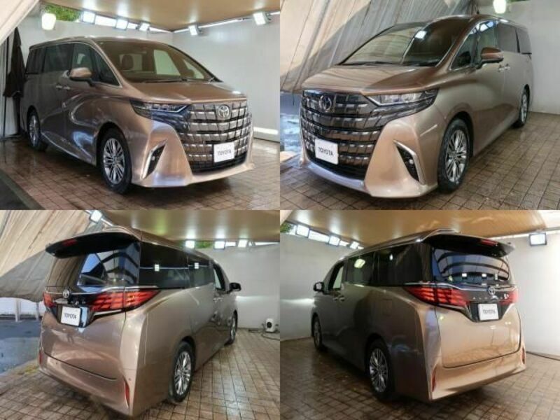 ALPHARD-1