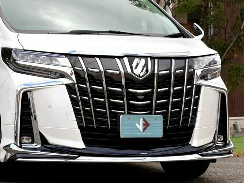 ALPHARD-7