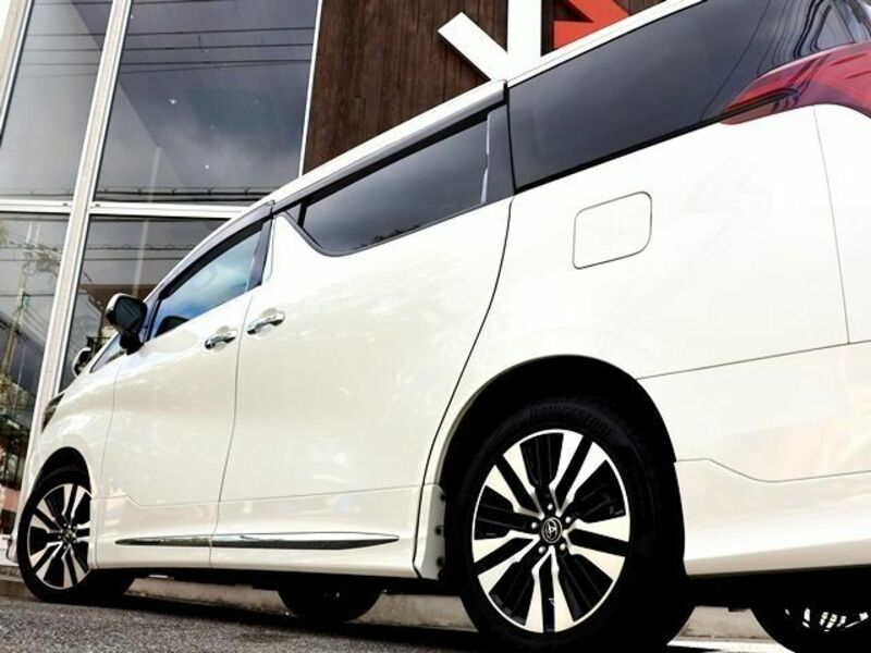 ALPHARD-10