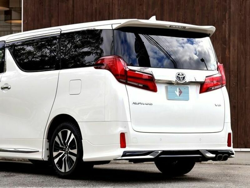 ALPHARD-13