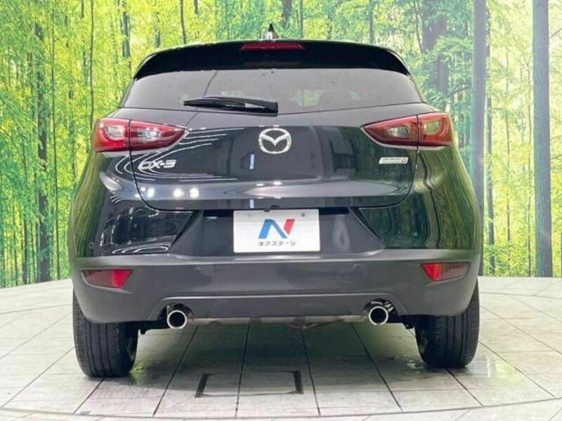 CX-3-15