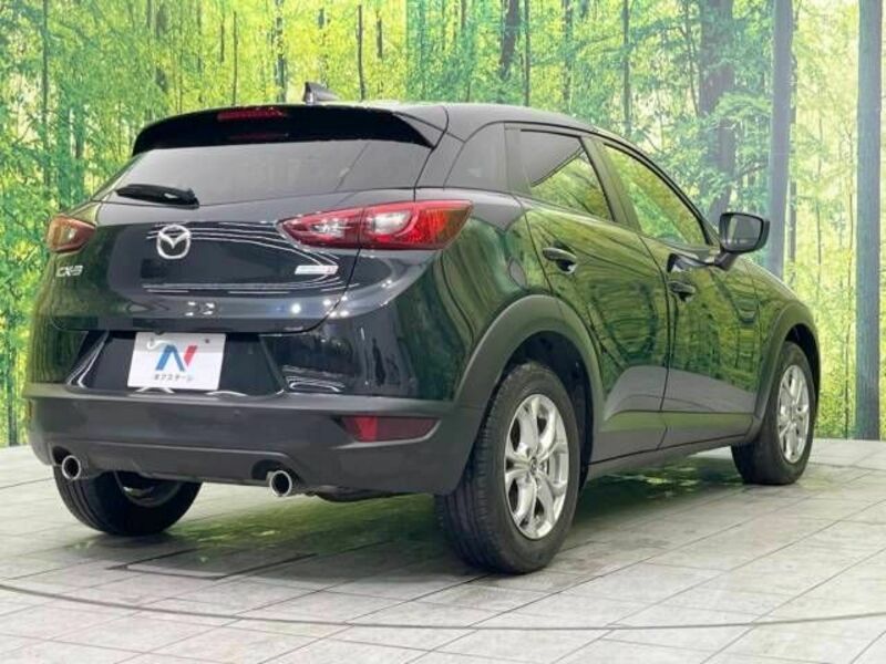 CX-3-17