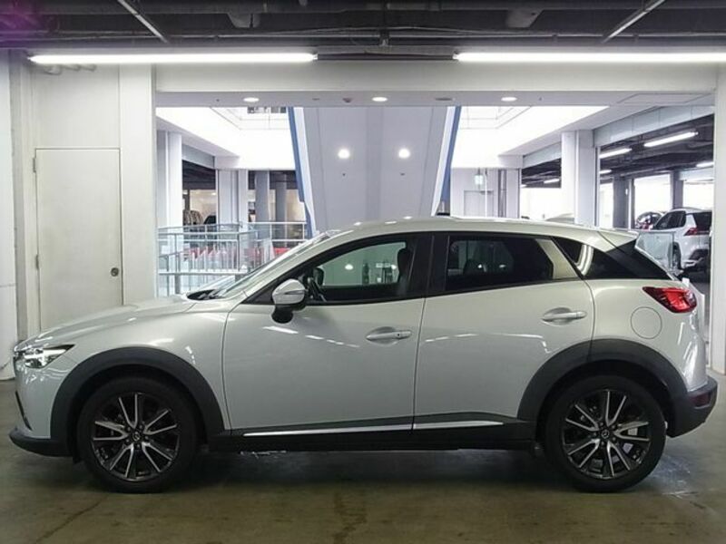 CX-3-8