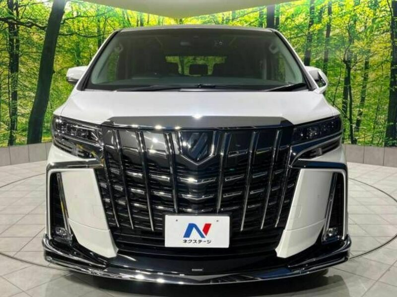 ALPHARD-15