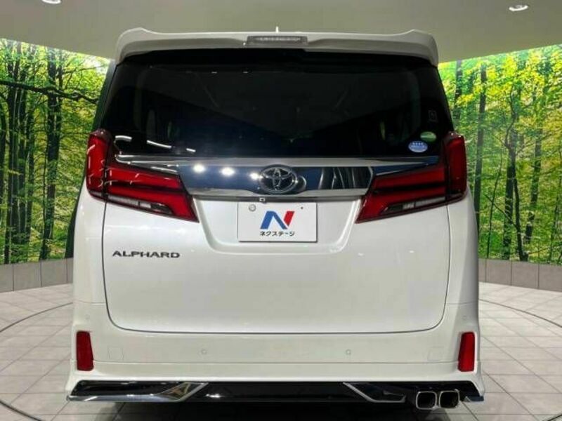 ALPHARD-16