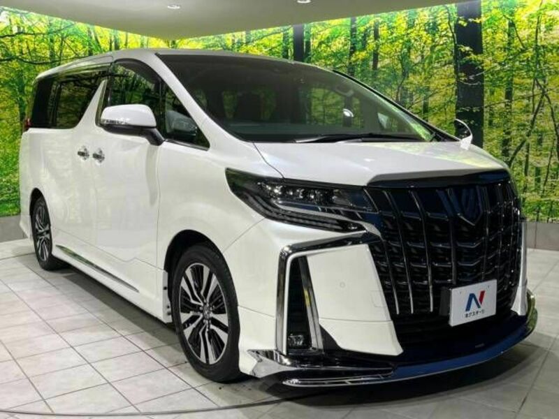 ALPHARD-17