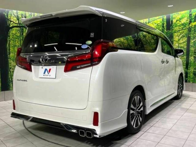 ALPHARD-18