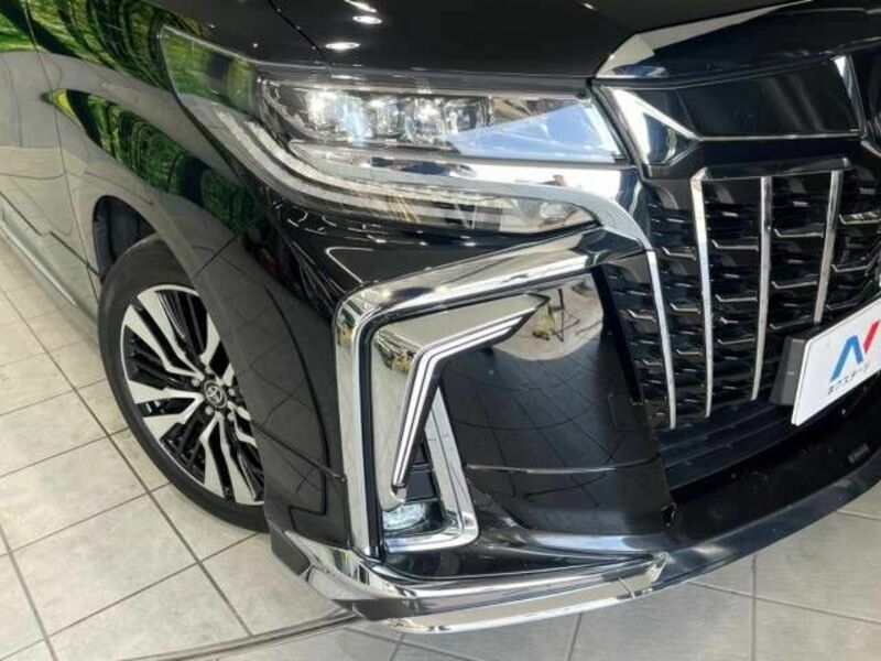 ALPHARD-13