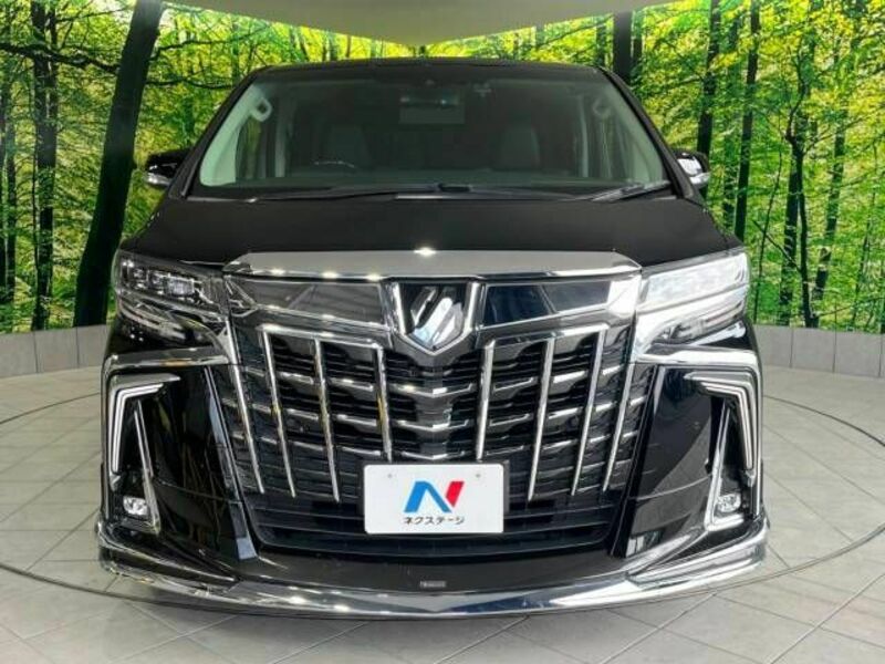 ALPHARD-15