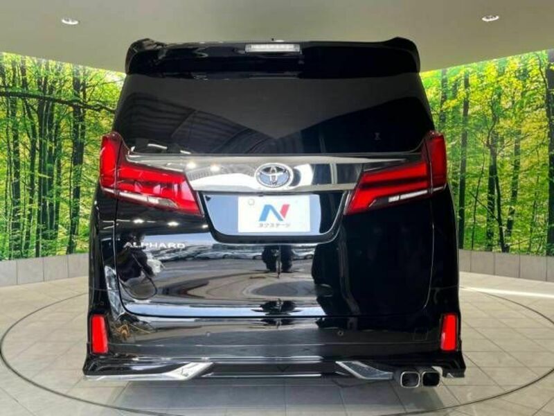 ALPHARD-16