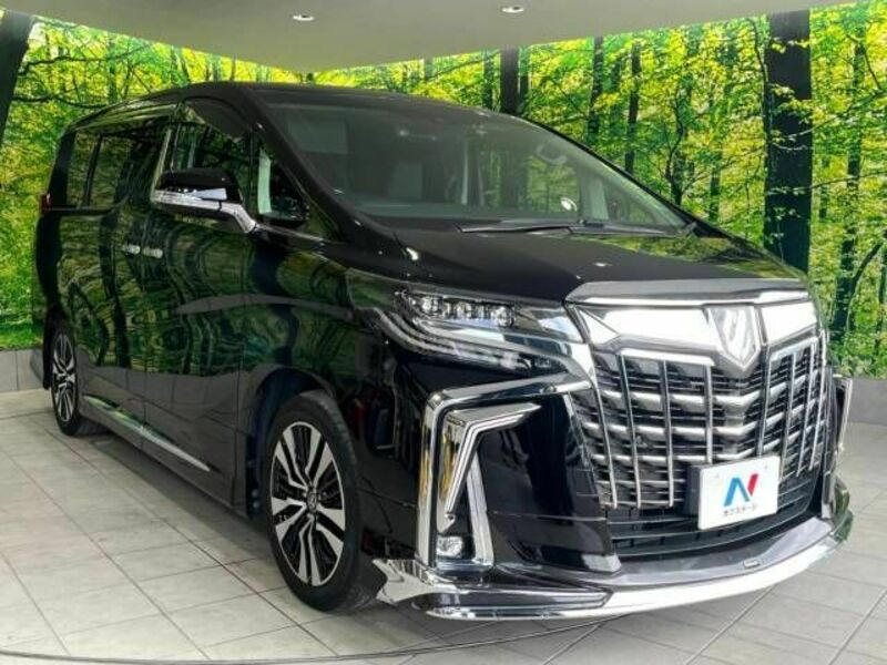 ALPHARD-17