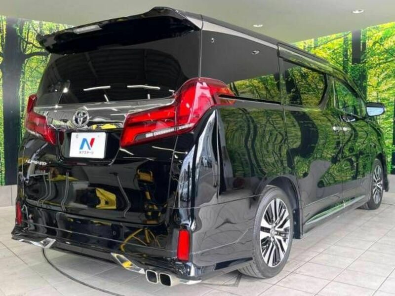 ALPHARD-18