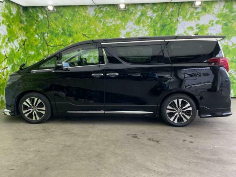 ALPHARD-1