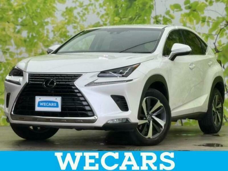 LEXUS　NX