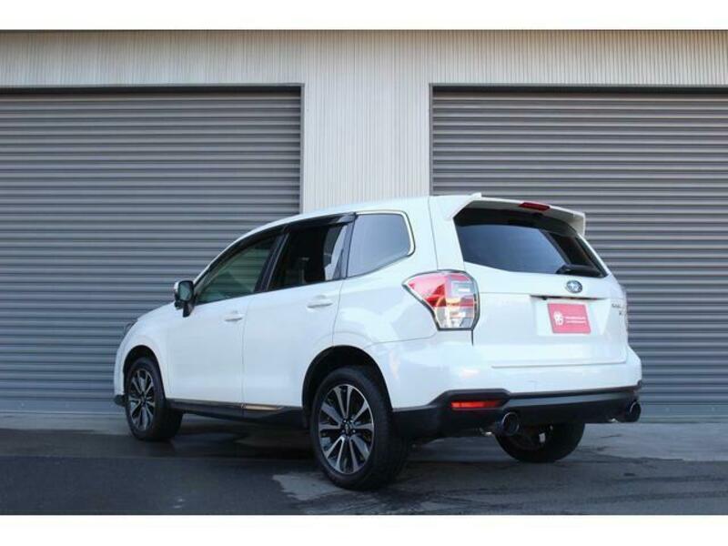 FORESTER-3