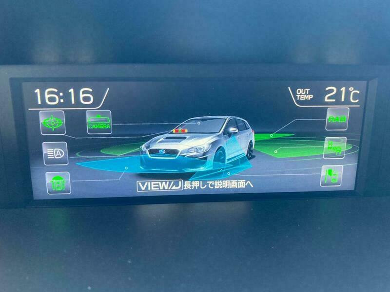 LEVORG