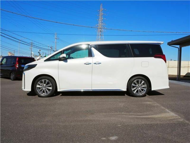 ALPHARD-13