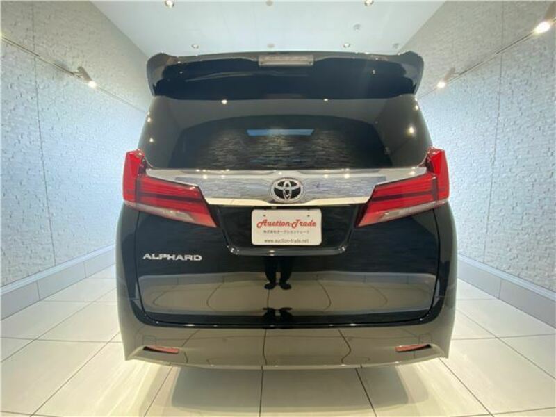 ALPHARD-7