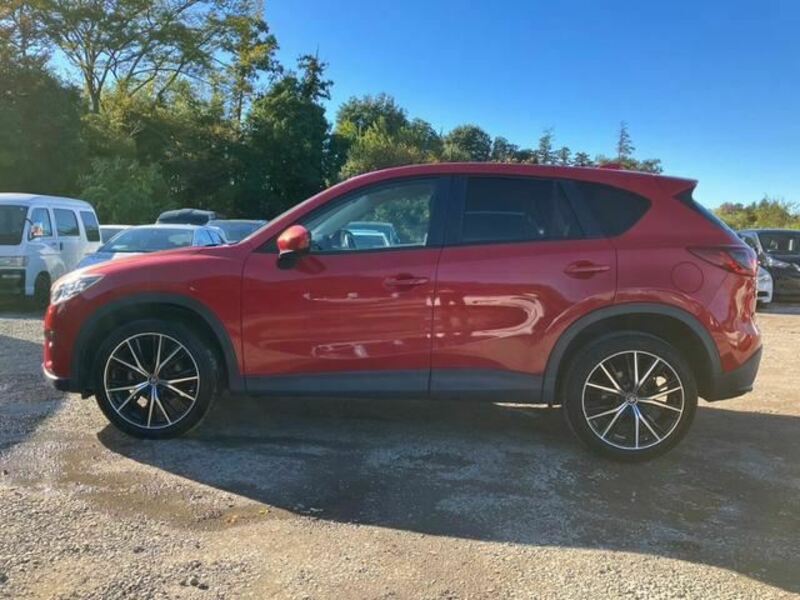 CX-5-8