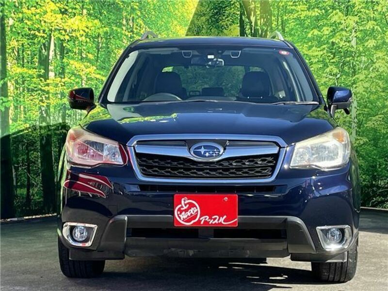 FORESTER-5