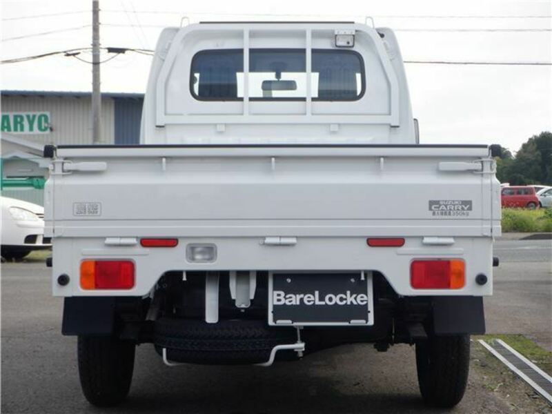 CARRY TRUCK-4