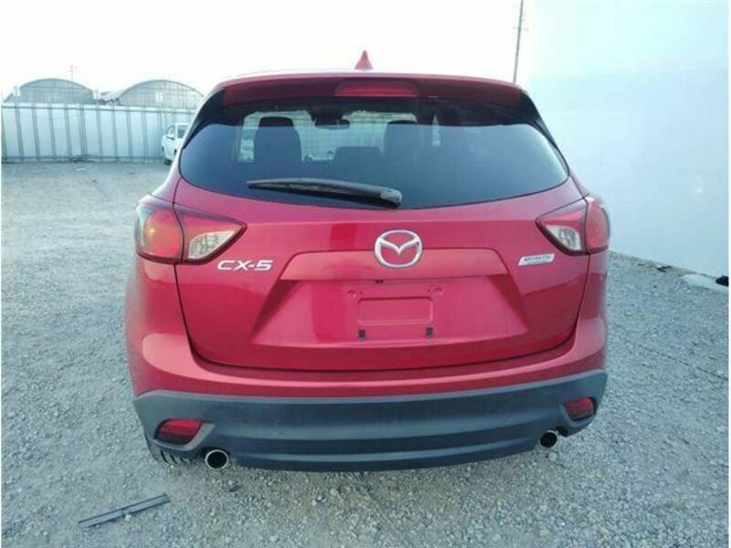 CX-5-6