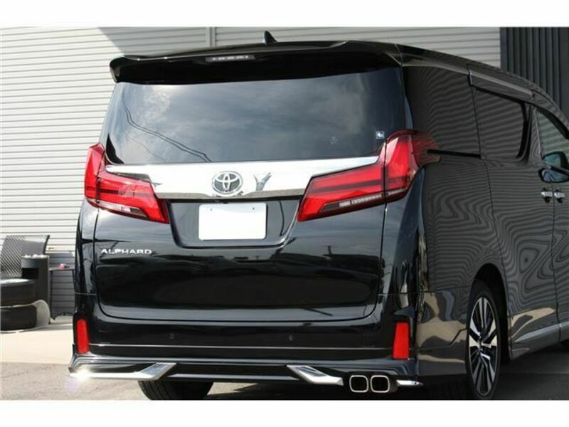 ALPHARD-16