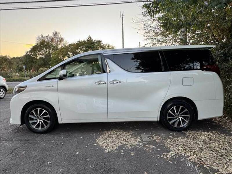 ALPHARD-5