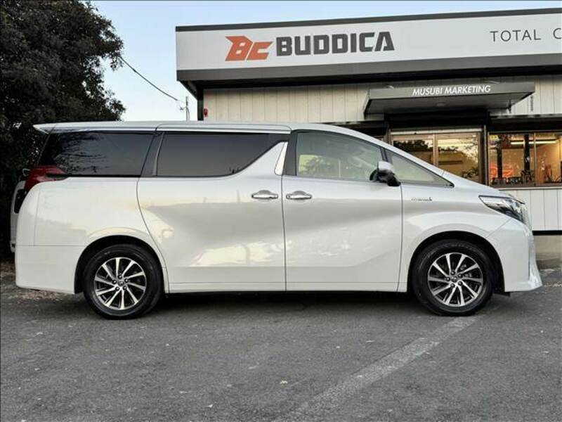 ALPHARD-6