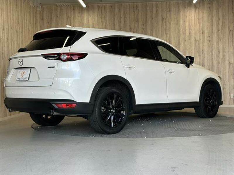 CX-8-18