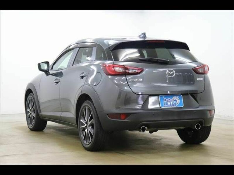 CX-3-19