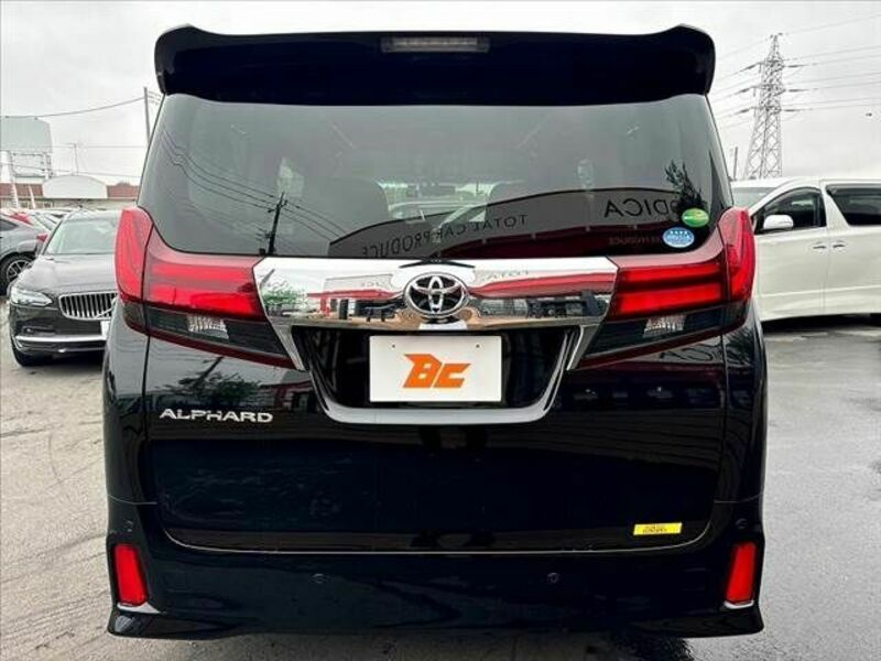 ALPHARD-13