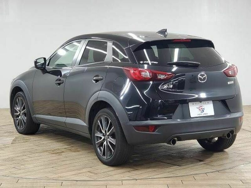 CX-3-16