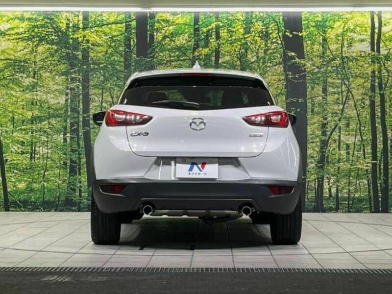 CX-3-15